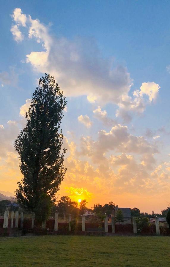 Pops Resort Pālampur Εξωτερικό φωτογραφία